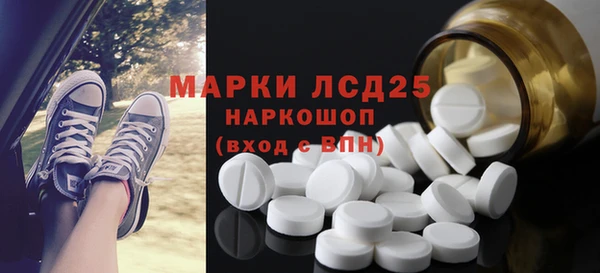 ПСИЛОЦИБИНОВЫЕ ГРИБЫ Арсеньев