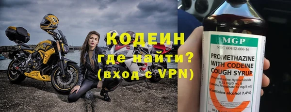 ПСИЛОЦИБИНОВЫЕ ГРИБЫ Арсеньев