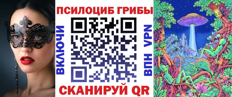 гидра онион  даркнет сайт  Унеча  Псилоцибиновые грибы Psilocybine cubensis 